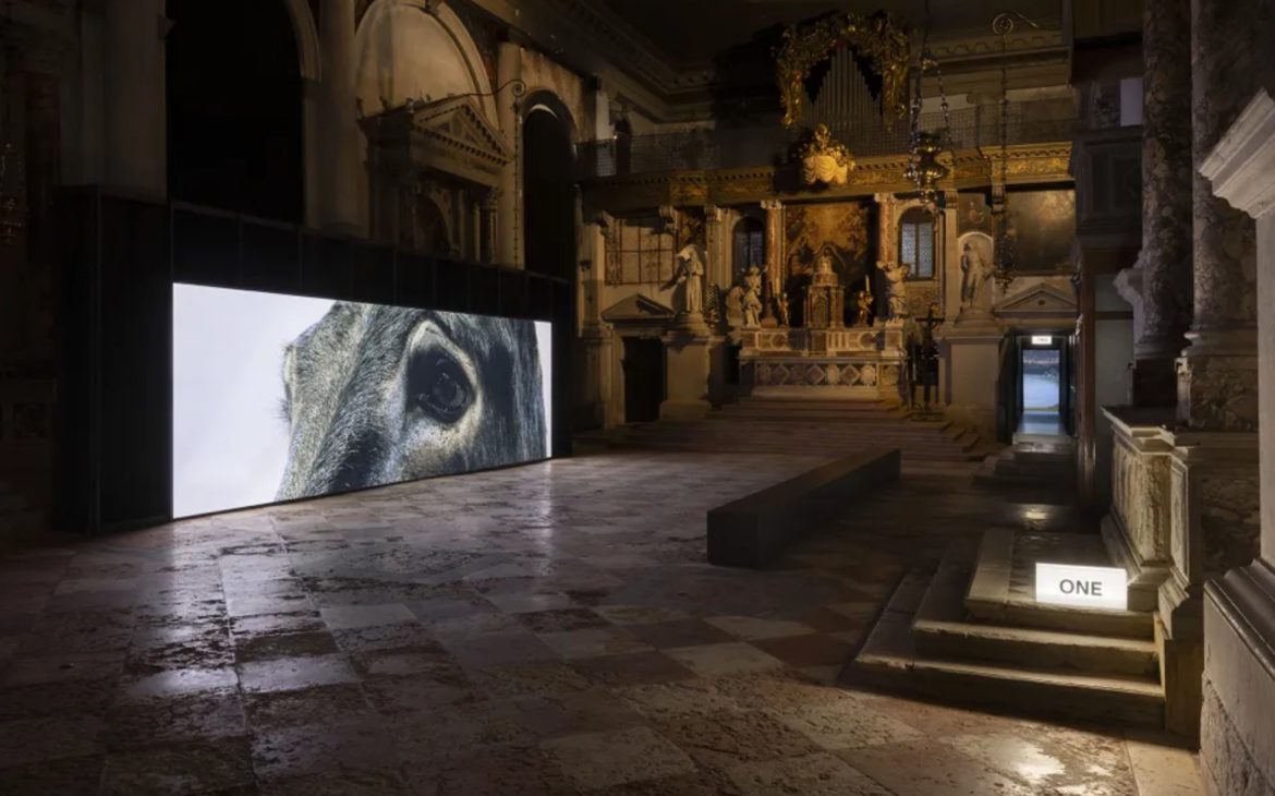 collateral events venice biennale - Fondazione In Between Art Film