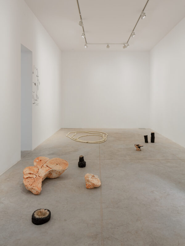contemporary art galleries madrid - Albarrán Bourdais Gallery
