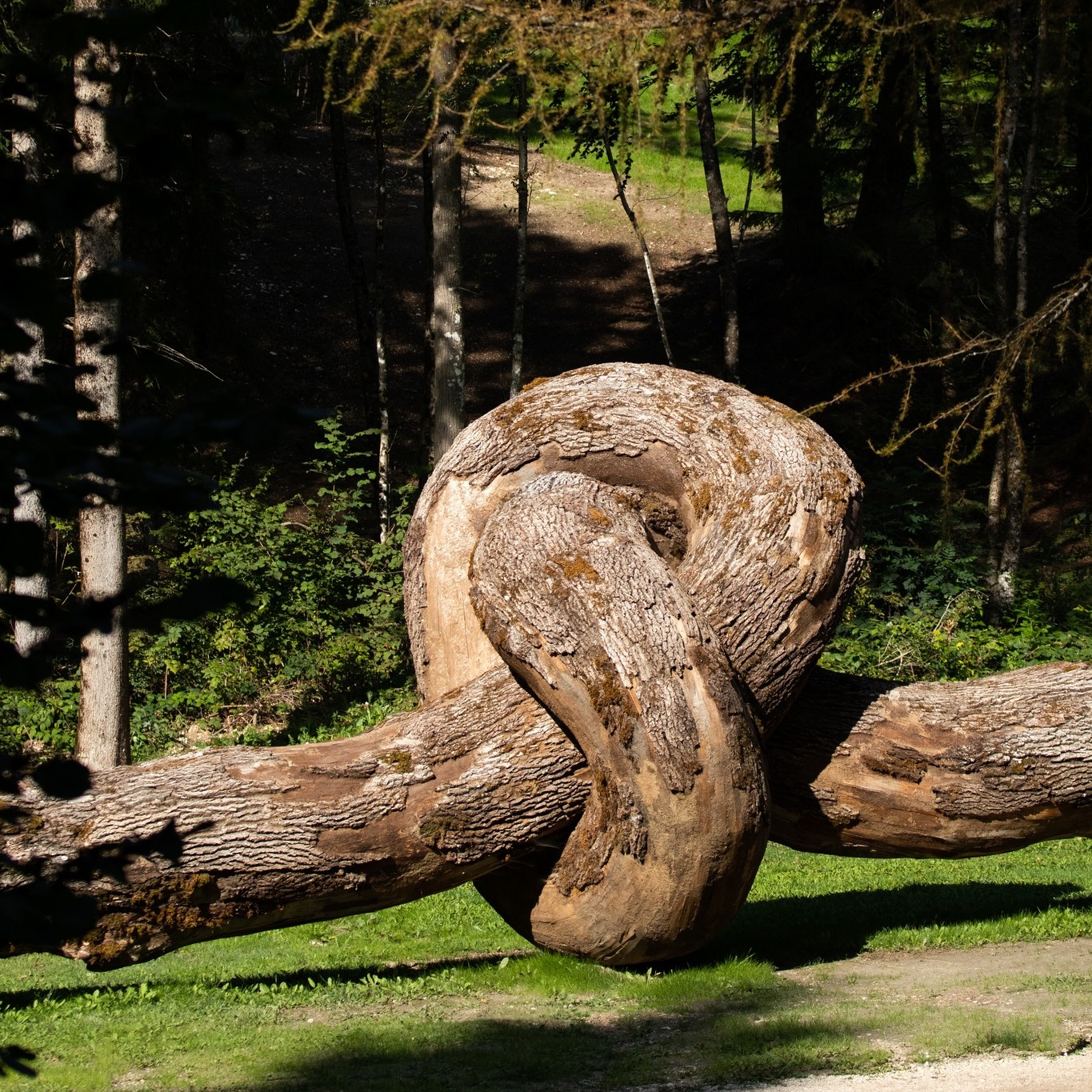 contemporary art Dolomites - Arte Sella